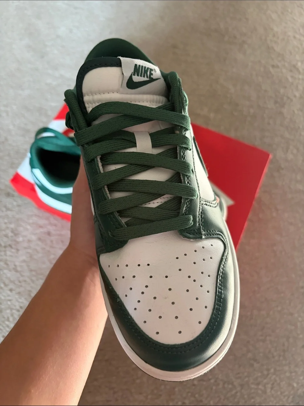 Nike Michigan State Dunks